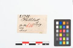 Etikett zu Bronzekahnfibel (NHMW-PRAE-025780)